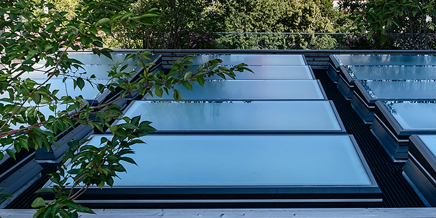 Glass Skylights on roof within tree canopy