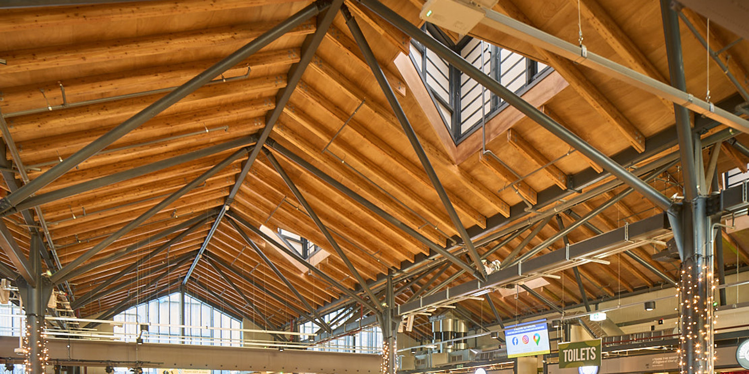 roof trusses with fairy lights and rooflight