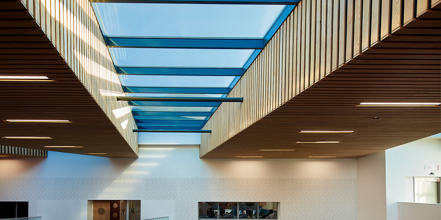Vertical long rooflight image