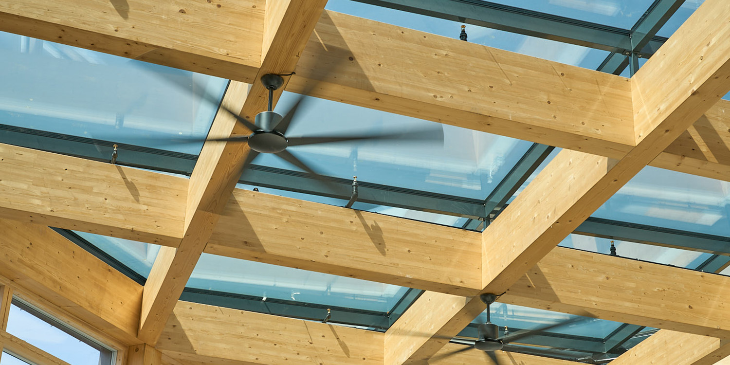 Internal view of glulam structure below glass roof
