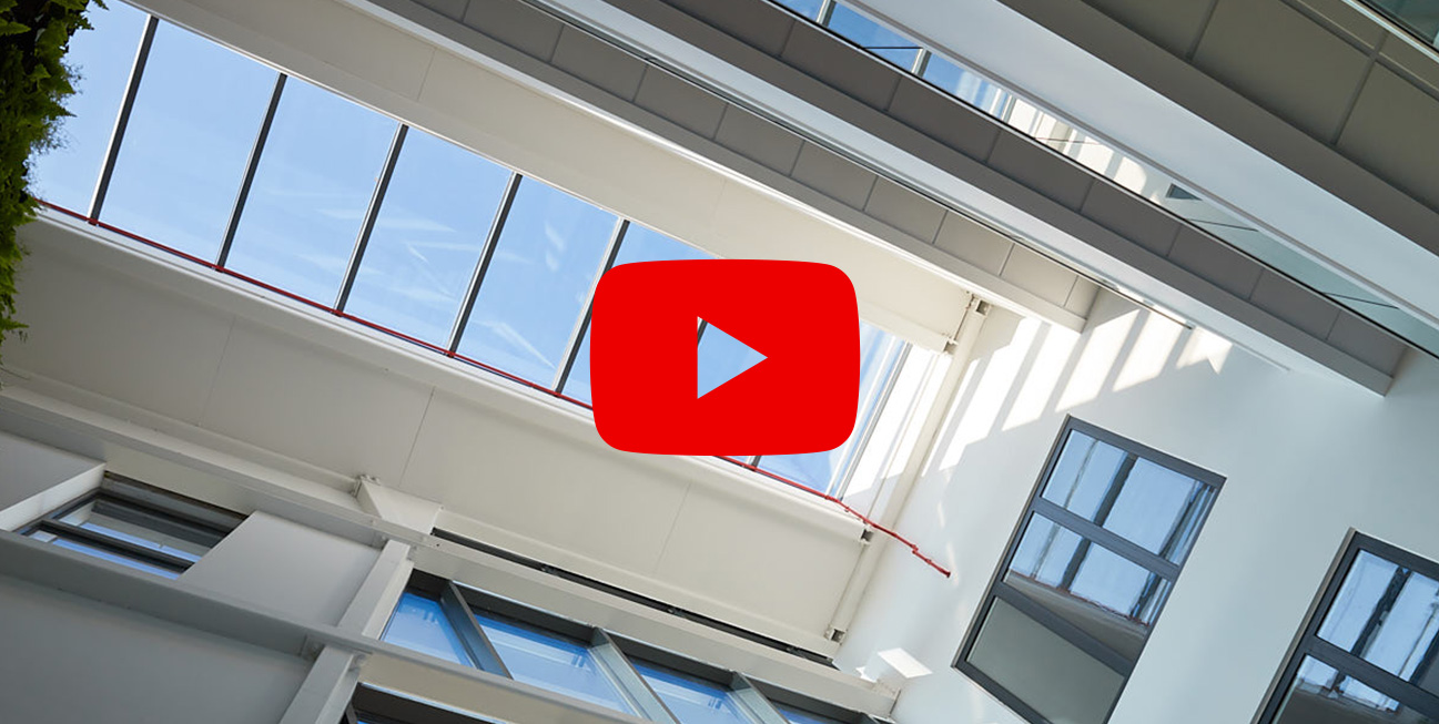 Screenshot of paused video on flat rooflight